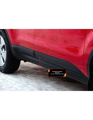 Молдинги на двери (4 шт) Soul 2017-2018...