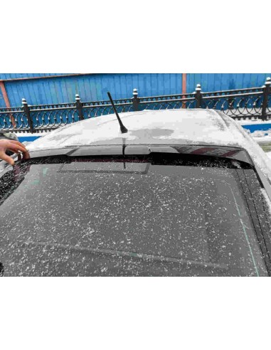 Козырек заднего стекла на Skoda Octavia А5