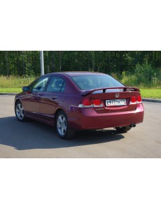 Спойлер  ДСТ30 (со стоп-сигналом)