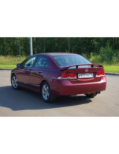 Спойлер  ДСТ30 (со стоп-сигналом)