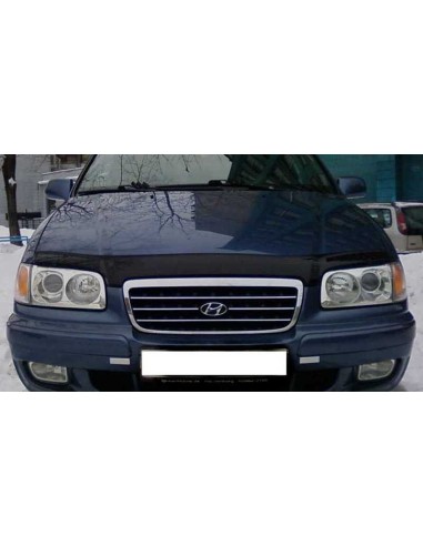 Дефлектор капота VIP-TUNING для HYUNDAI Trajet...