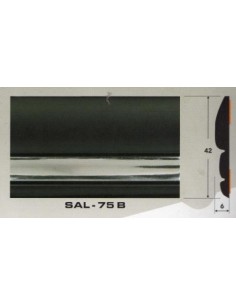 Молдинг автомобильный SAL/75 (42х6 мм.)(цена за 1 метр)
